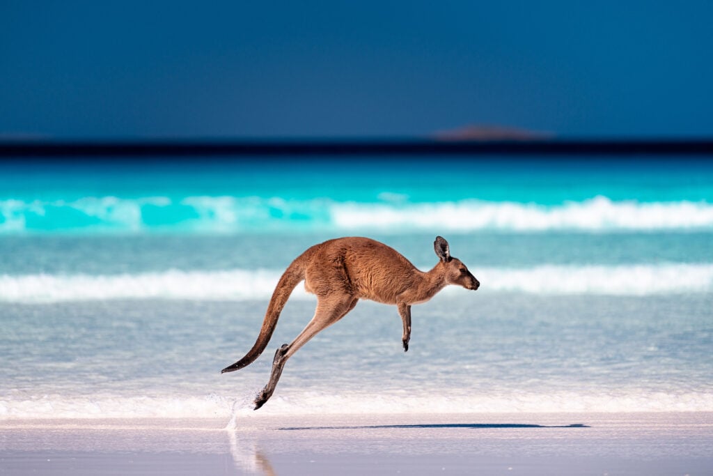 a photo representing Australia