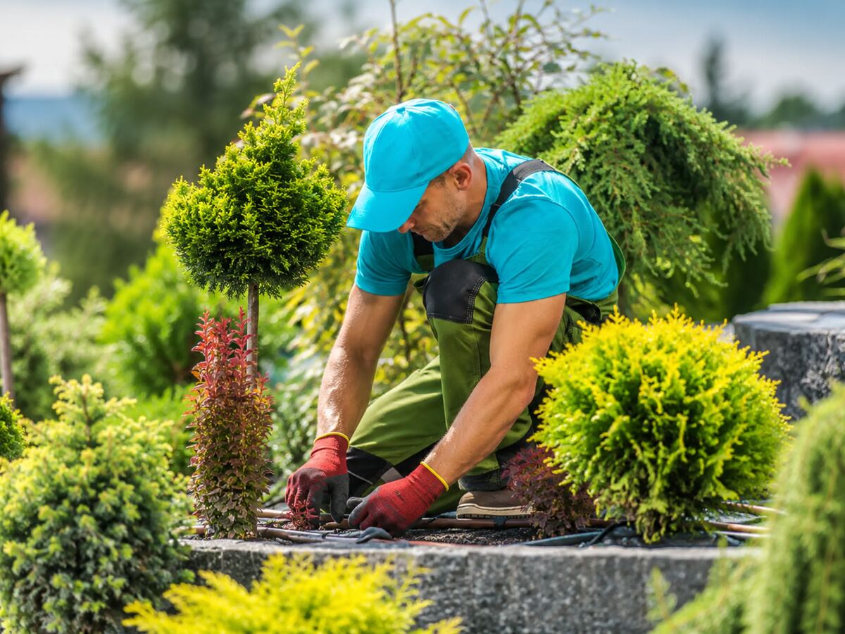 Gardener Maintaining a Planted Garden Bed