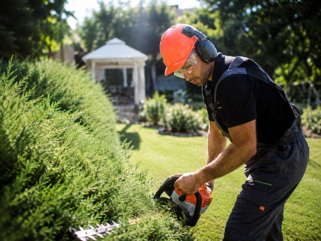 Gardener Trimming a Hedge with Power Tools