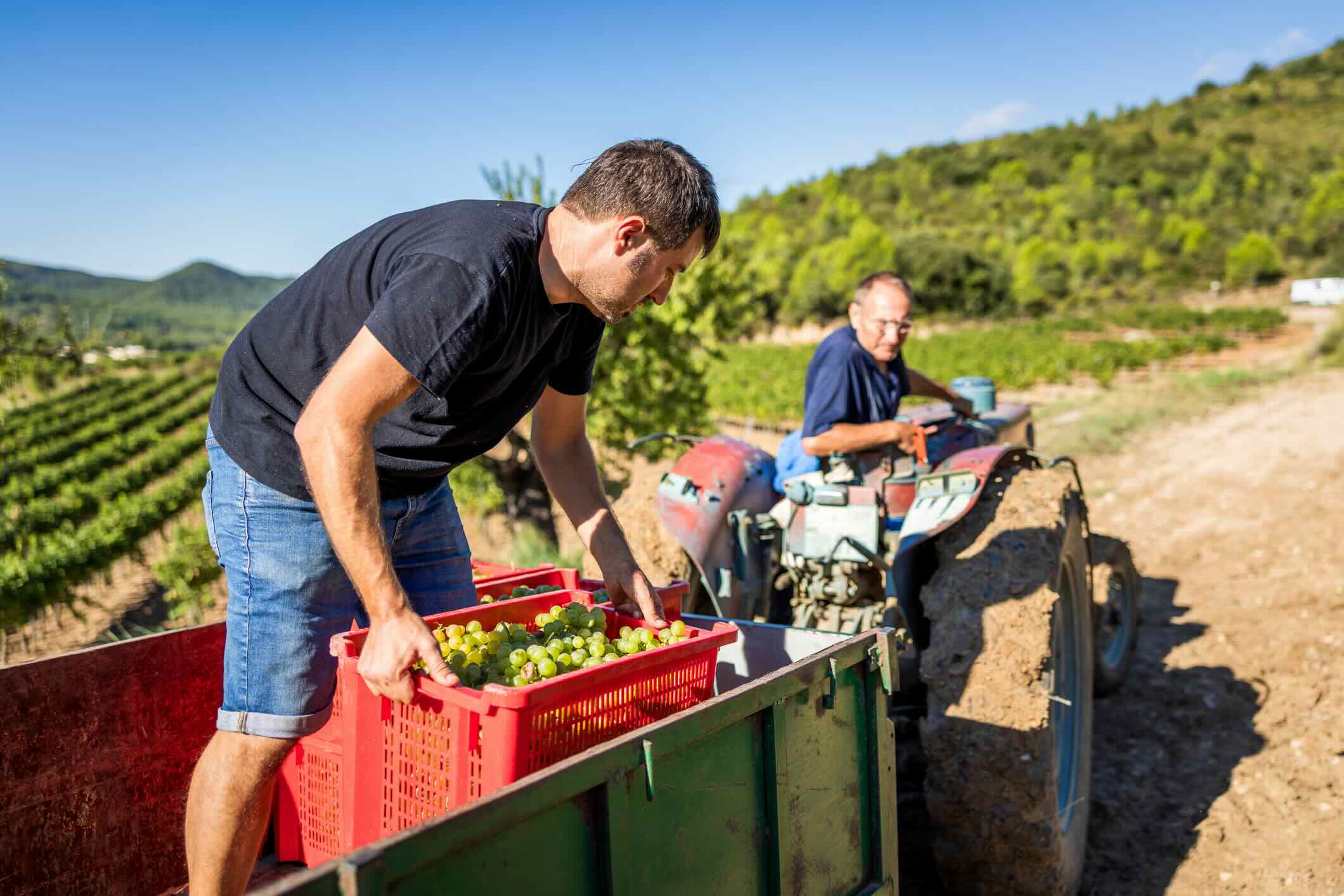 Agriculture worker in Australia